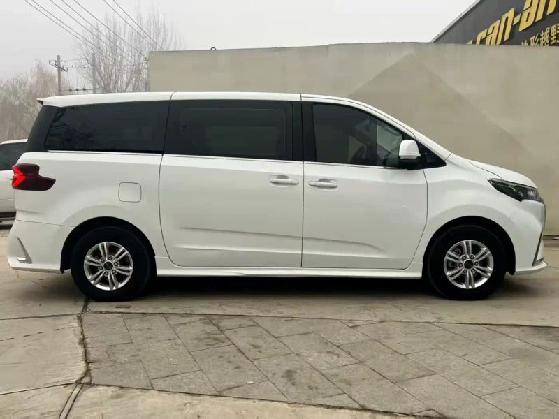 dana g20