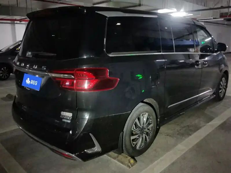 dana g20