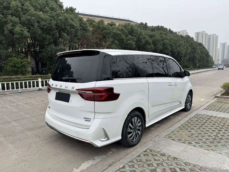 dana g20
