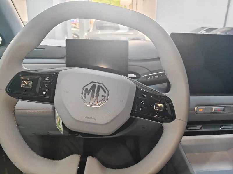 Mg model4