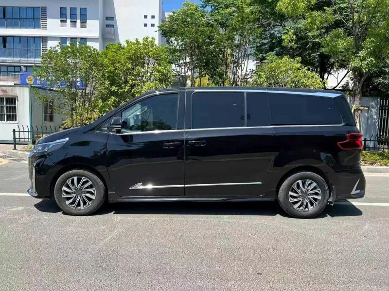 dana g20