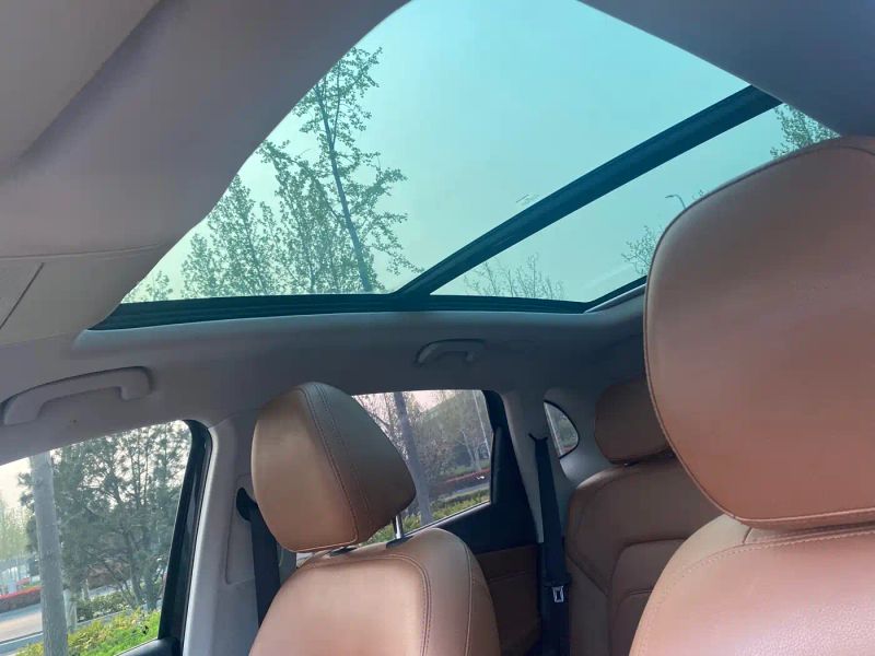 Borgward bx7