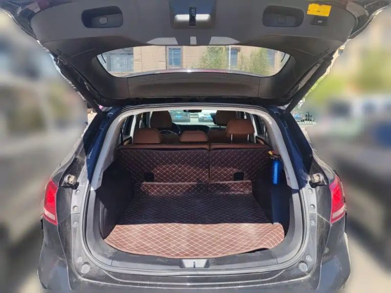 Borgward bx7
