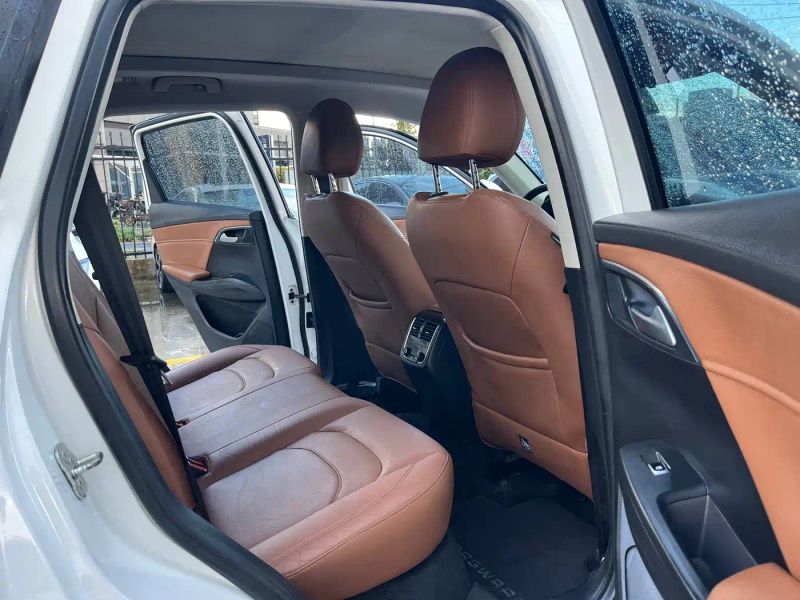 Borgward bx7