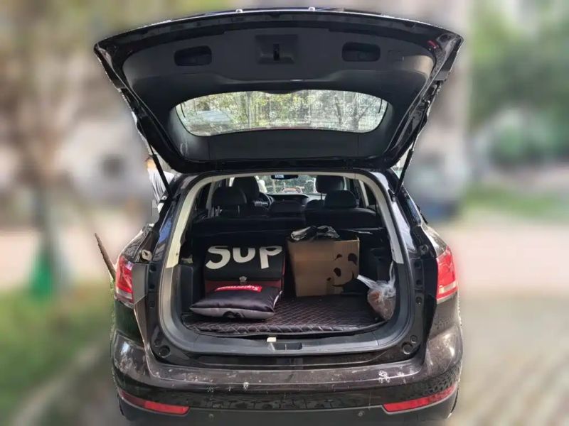 Borgward bx7