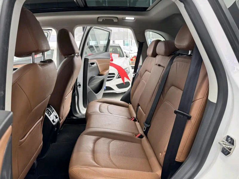 Borgward bx7