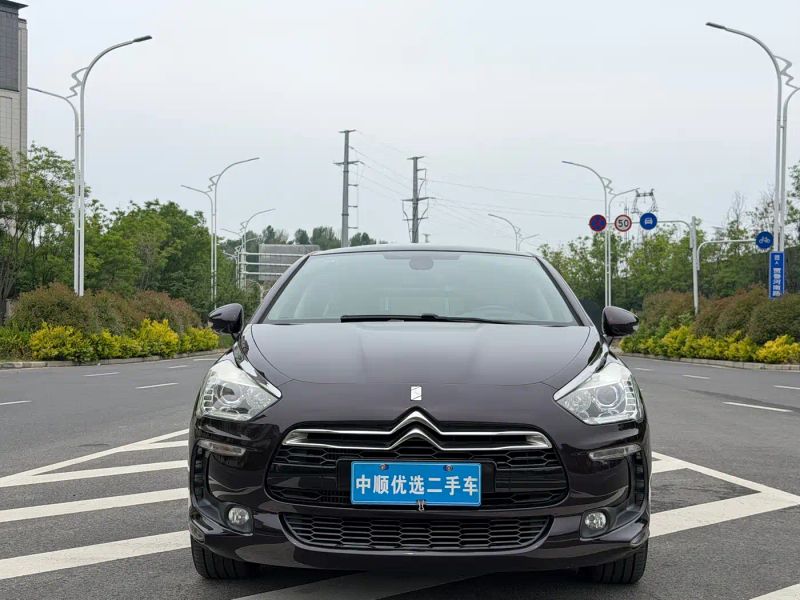 Ds 5