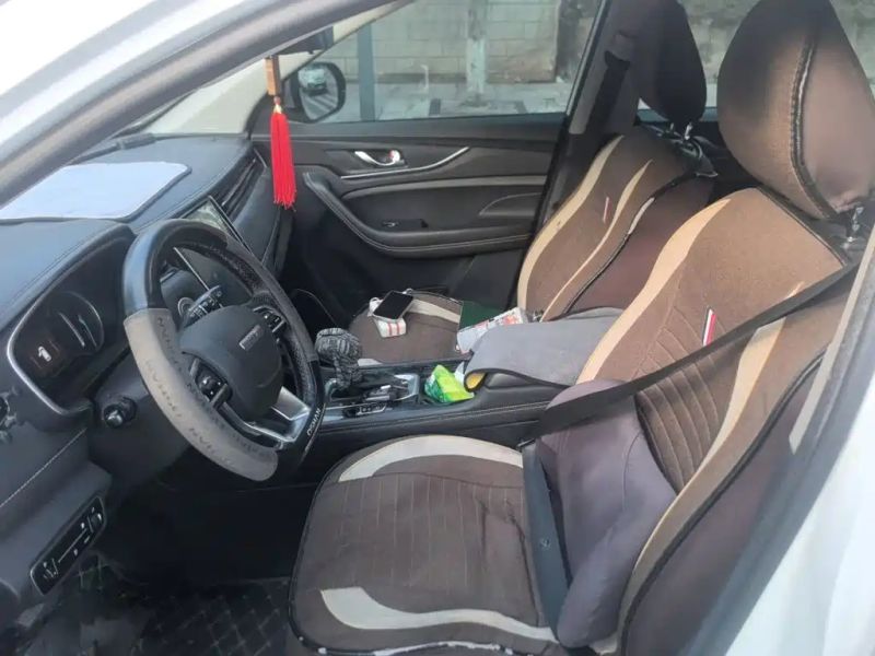 Changan_oshan coser