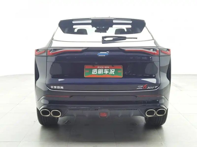 Changan_oshan z6