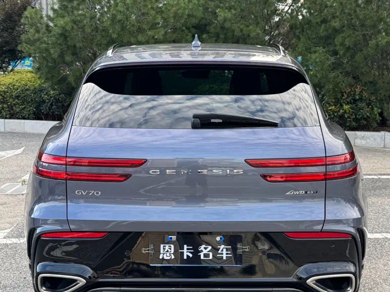 Genesis gv