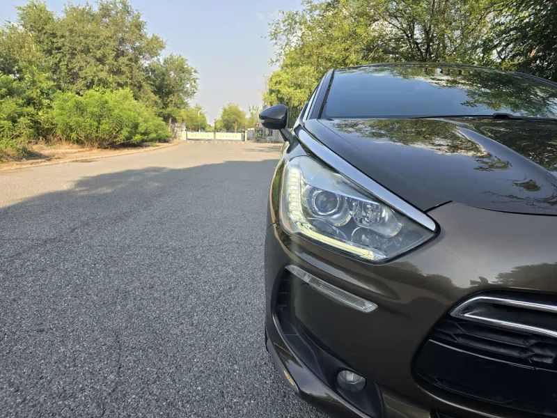 Ds 5
