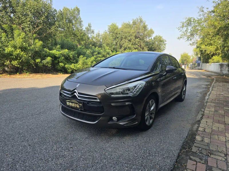 Ds 5