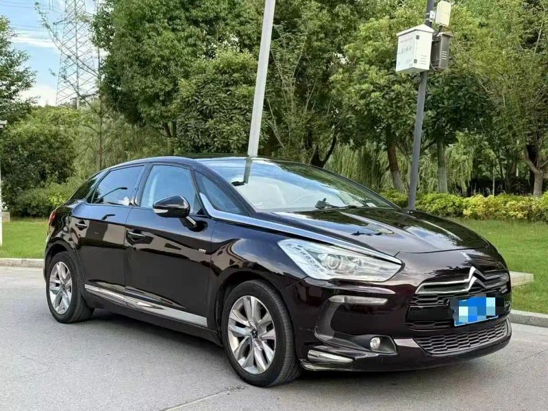 Ds 5