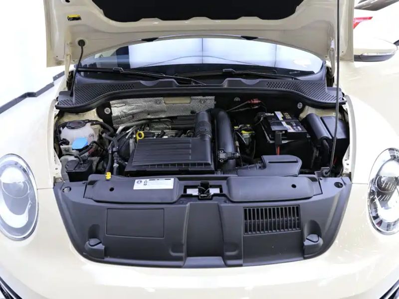 faw-volkswagen beetle