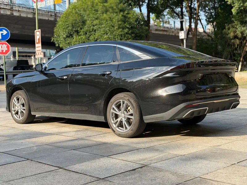 xingyuan l6