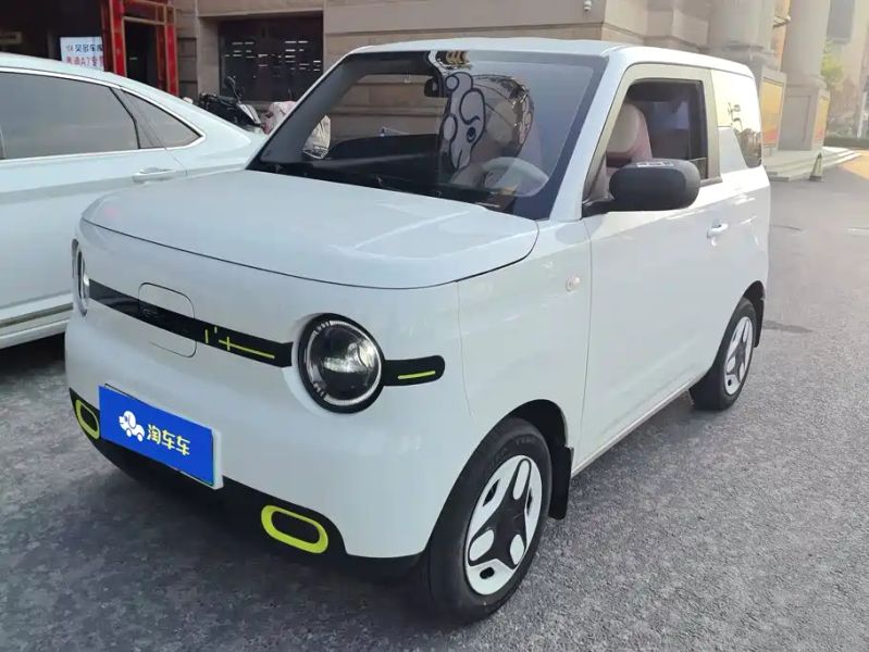 xingyuan pandamini