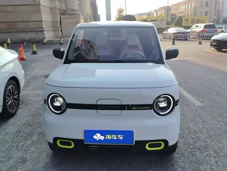 xingyuan pandamini