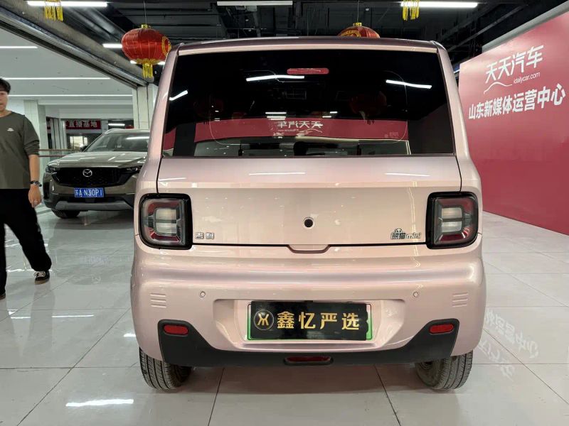 xingyuan pandamini