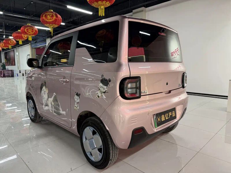 xingyuan pandamini