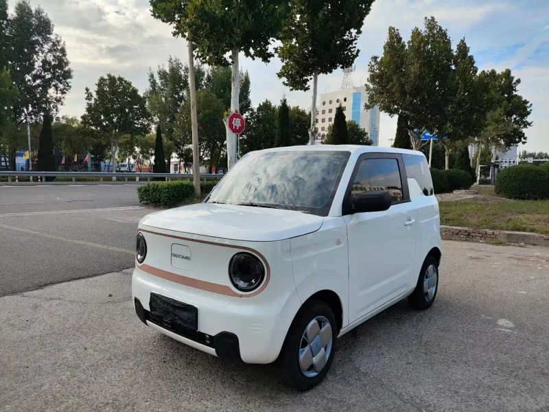 xingyuan pandamini