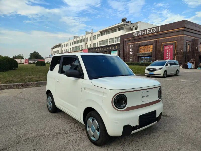 xingyuan pandamini