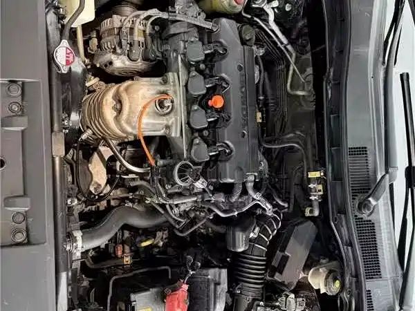 aodisai accord