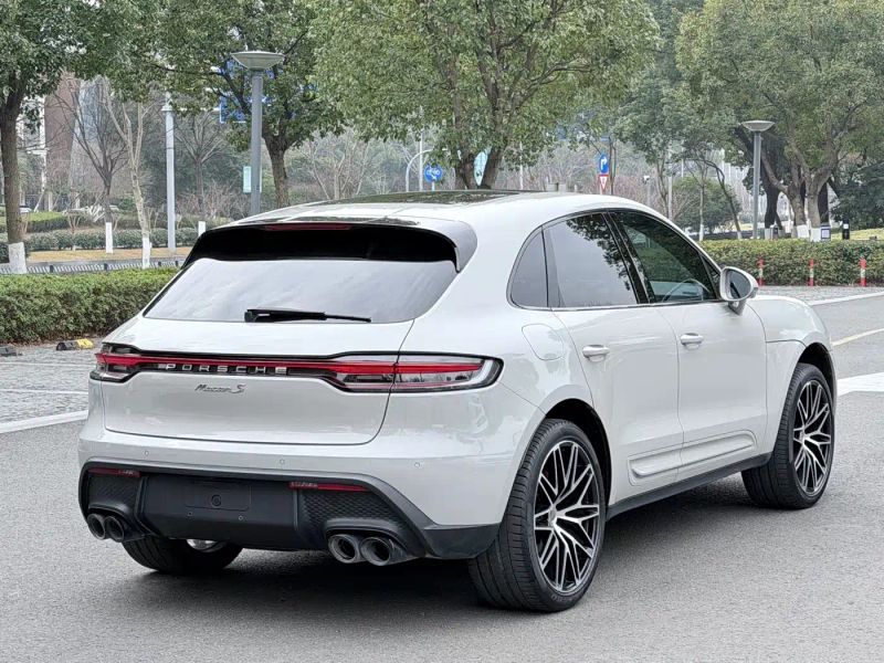 macan macan