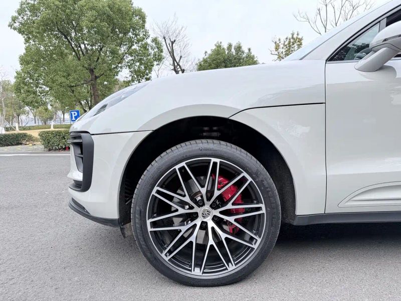 macan macan