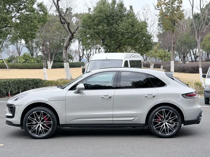 macan macan