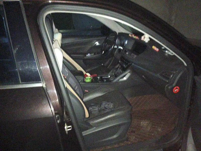 Borgward bx7