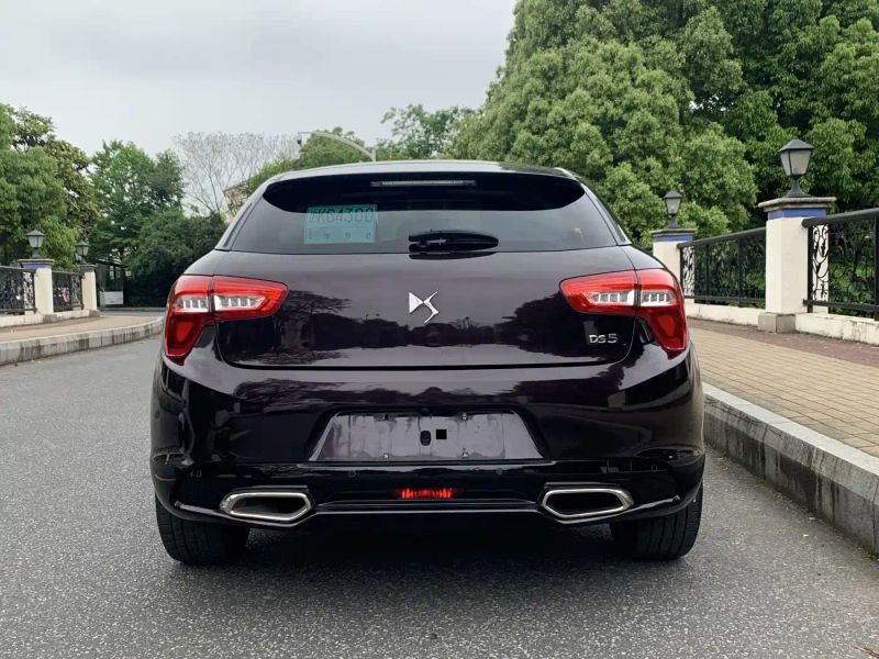 Ds ds5