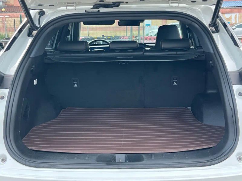 Changan_oshan z6