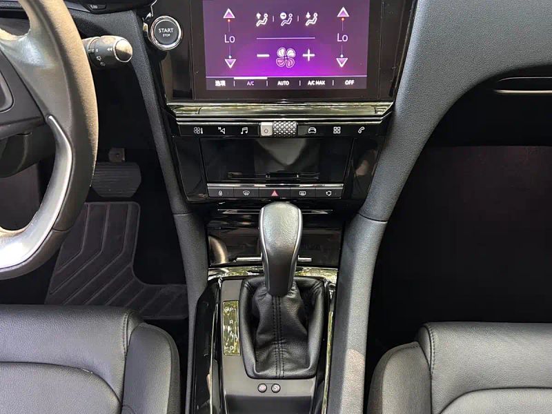 Ds 6