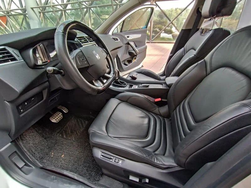 Ds 5ls