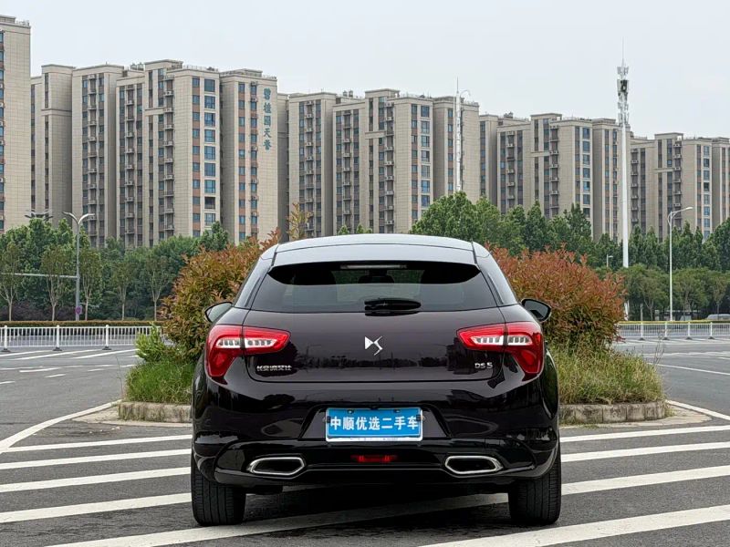 Ds 5