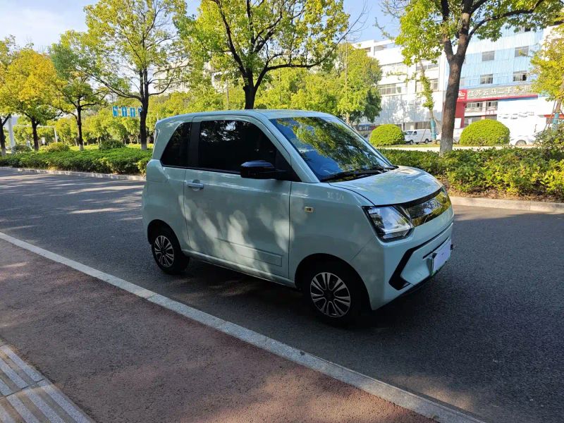 fengguang miniev