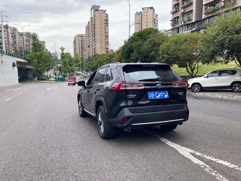 alphard wildlander