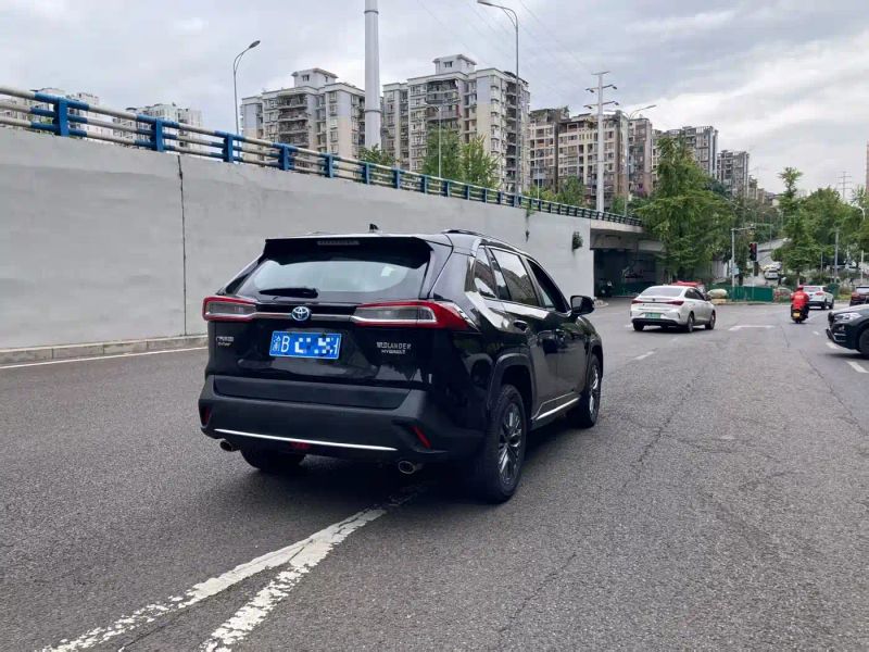 alphard wildlander