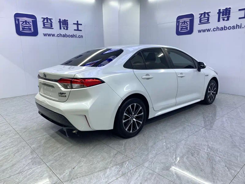 alphard leiling