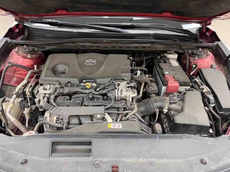 alphard camry