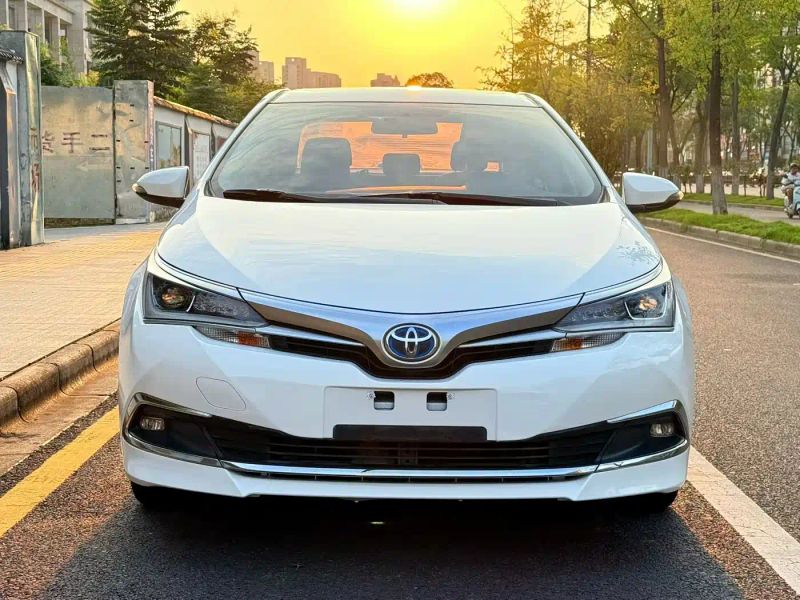 alphard corolla