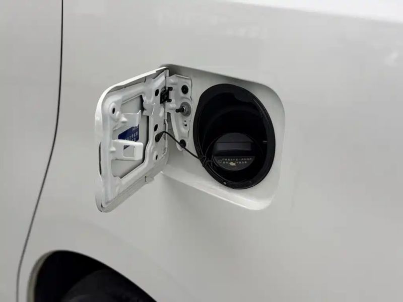 alphard van