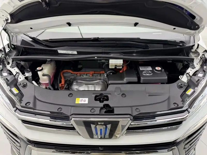 alphard van