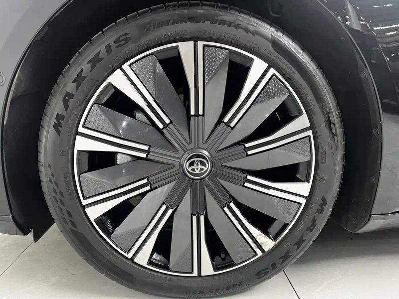 alphard buzzer_7