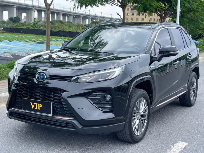alphard wildlander