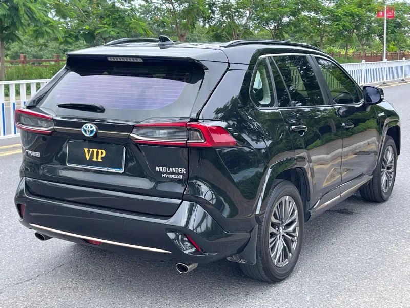 alphard wildlander