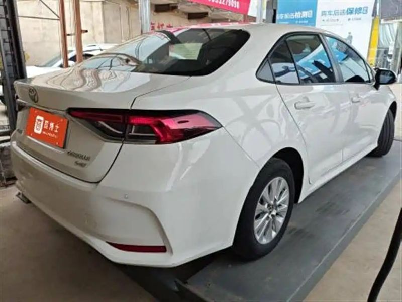 alphard corolla