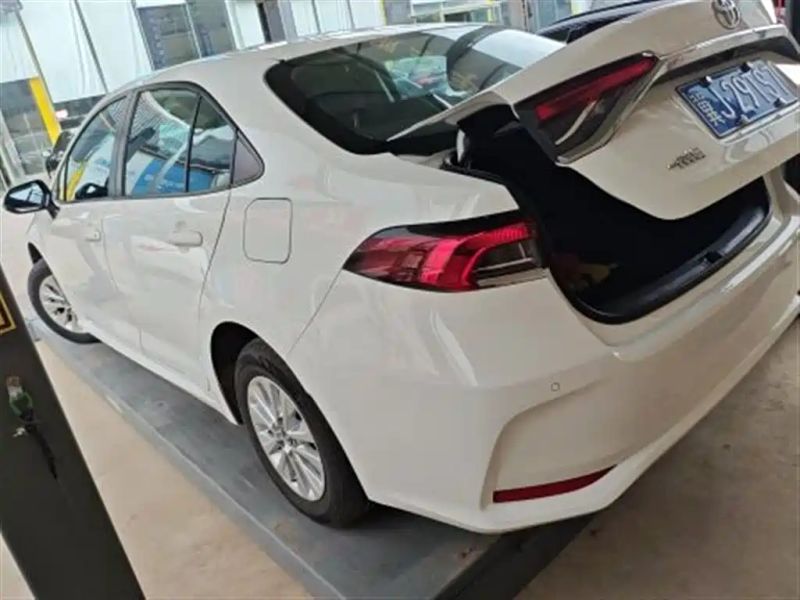 alphard corolla