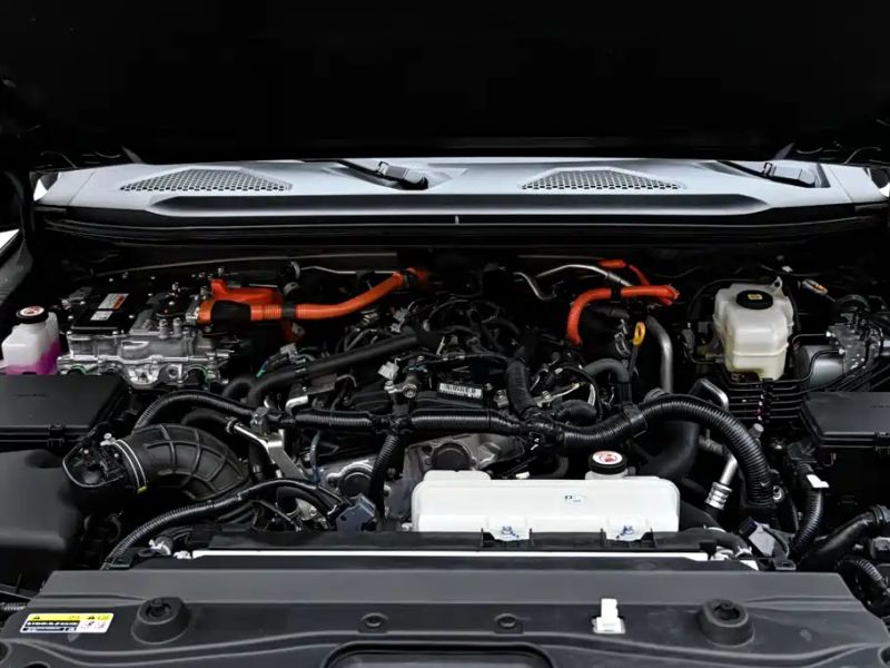 alphard prado