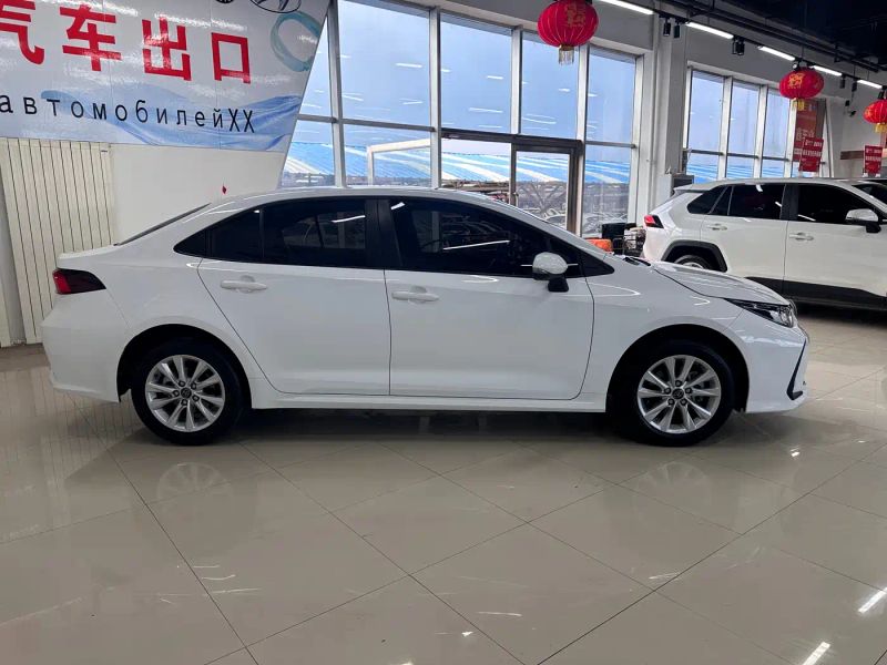 alphard corolla